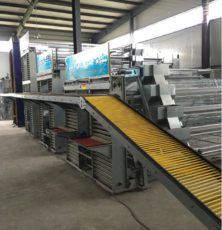 Egg Collection System