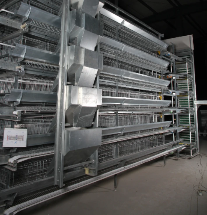 Feeding System