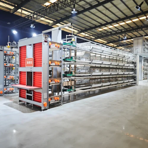 H Type layer chicken cage