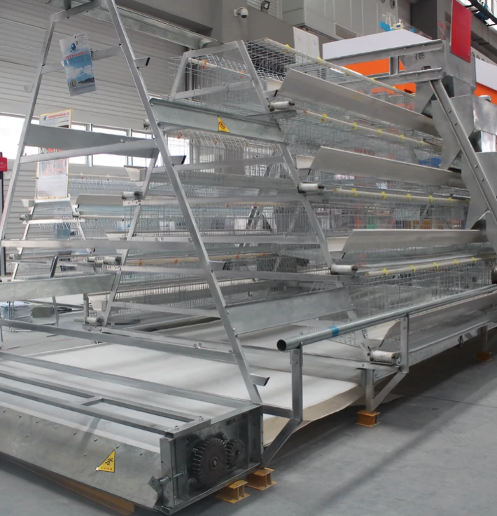 Manure Removal System