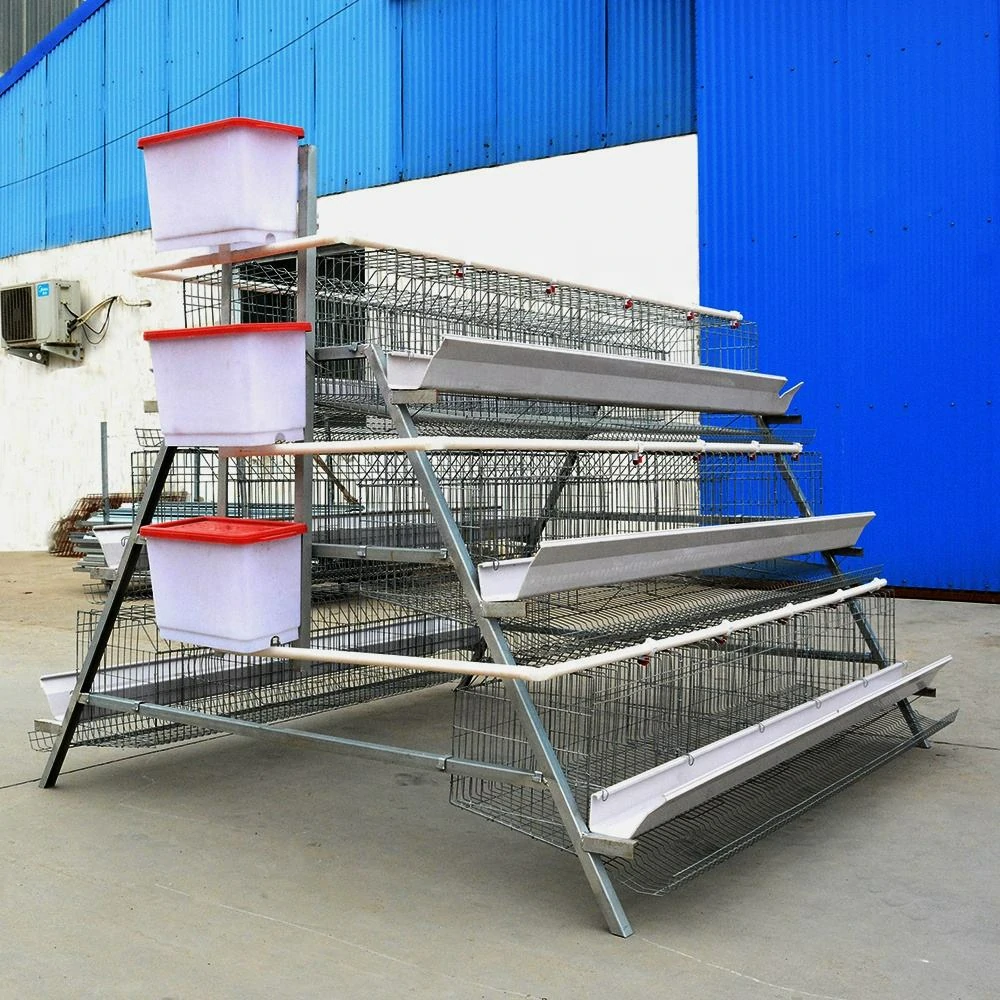 Inside a Typical Chicken Cage Factory